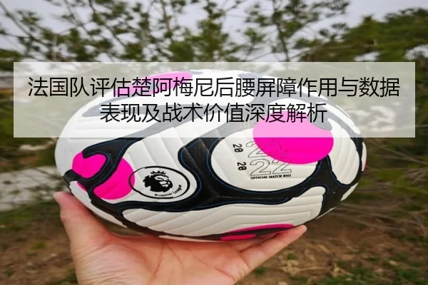 法国队评估楚阿梅尼后腰屏障作用与数据表现及战术价值深度解析